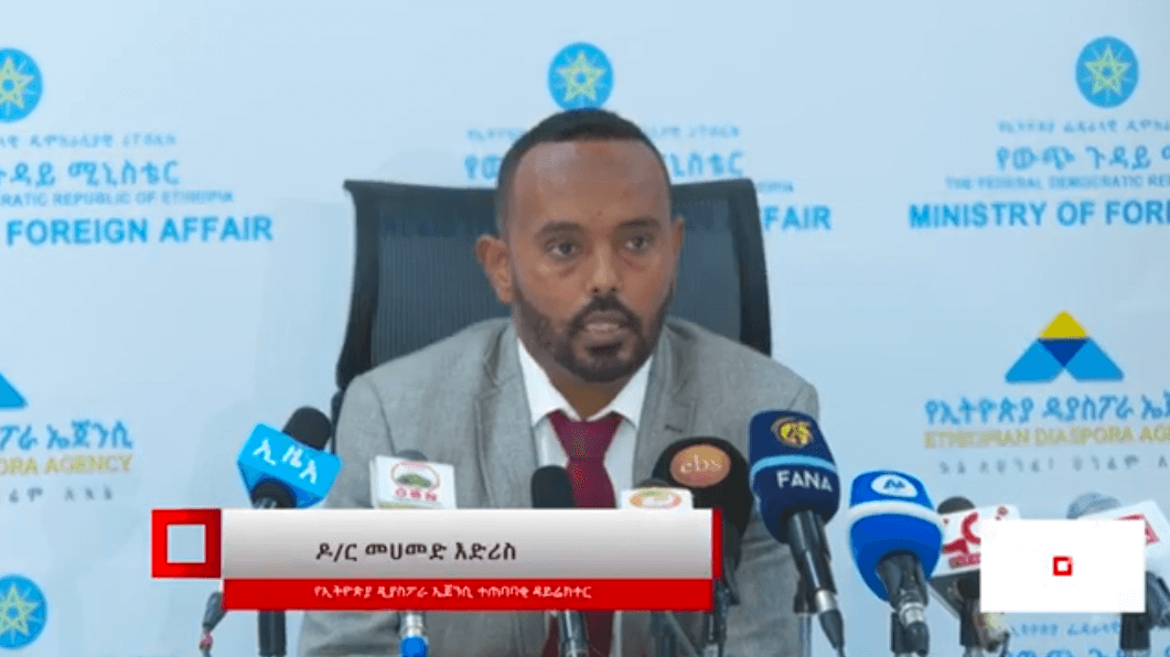 Ethiopian diaspora agency