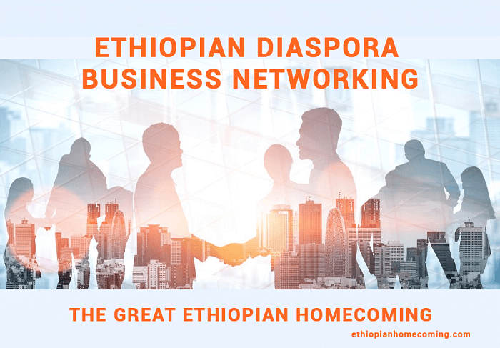 ethiopian diaspora events business.jpg